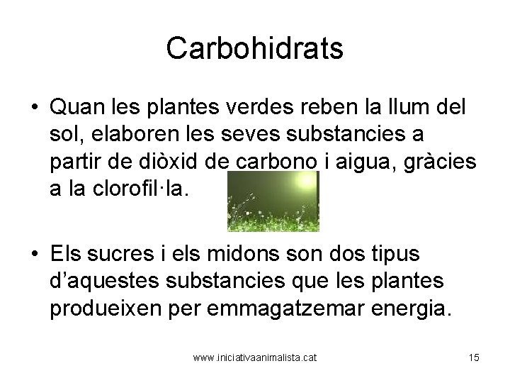 Carbohidrats • Quan les plantes verdes reben la llum del sol, elaboren les seves