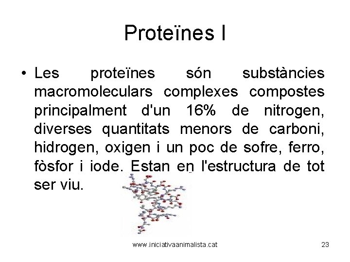 Proteïnes I • Les proteïnes són substàncies macromoleculars complexes compostes principalment d'un 16% de