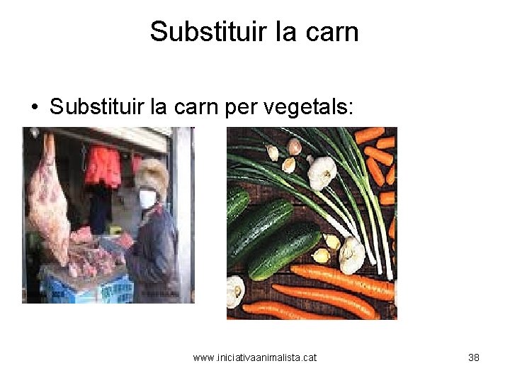 Substituir la carn • Substituir la carn per vegetals: • www. iniciativaanimalista. cat 38