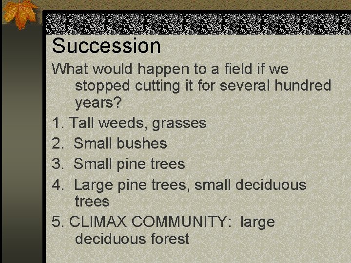 Succession What would happen to a field if we stopped cutting it for several Succession What would happen to a field if we stopped cutting it for several