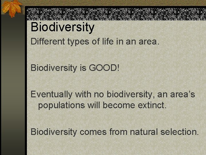 Biodiversity Different types of life in an area. Biodiversity is GOOD! Eventually with no Biodiversity Different types of life in an area. Biodiversity is GOOD! Eventually with no
