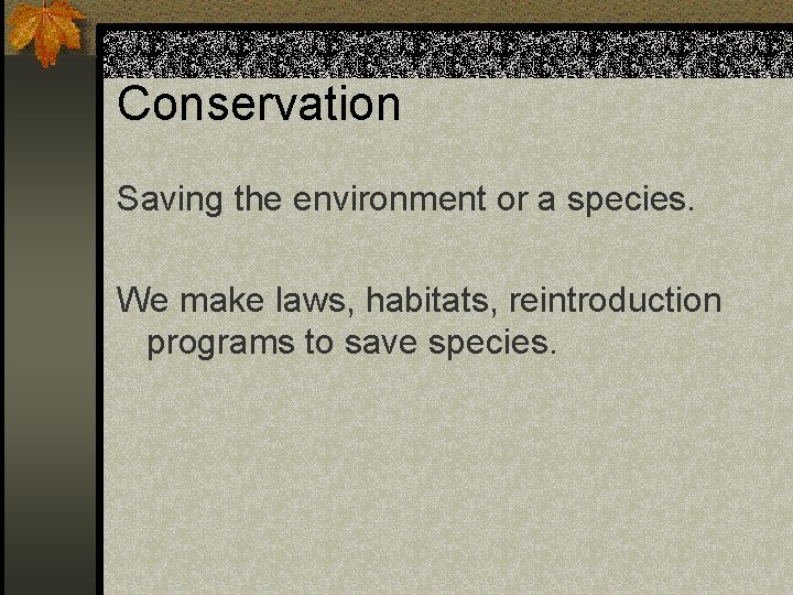 Conservation Saving the environment or a species. We make laws, habitats, reintroduction programs to Conservation Saving the environment or a species. We make laws, habitats, reintroduction programs to