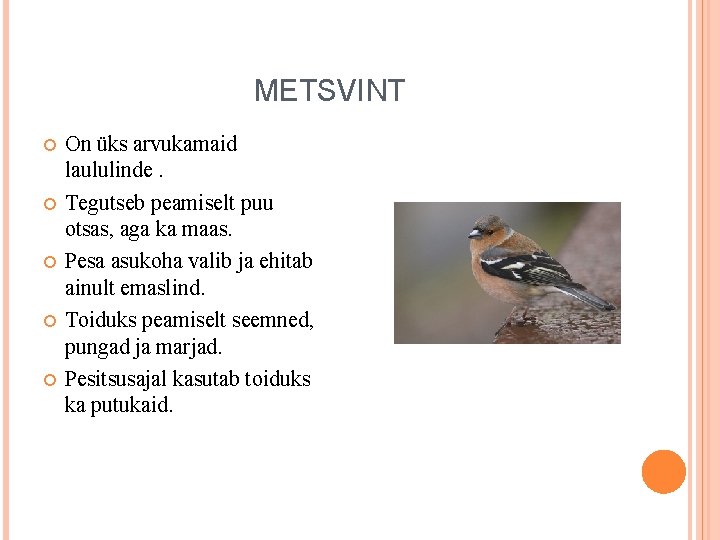 METSVINT On üks arvukamaid laululinde. Tegutseb peamiselt puu otsas, aga ka maas. Pesa asukoha METSVINT On üks arvukamaid laululinde. Tegutseb peamiselt puu otsas, aga ka maas. Pesa asukoha