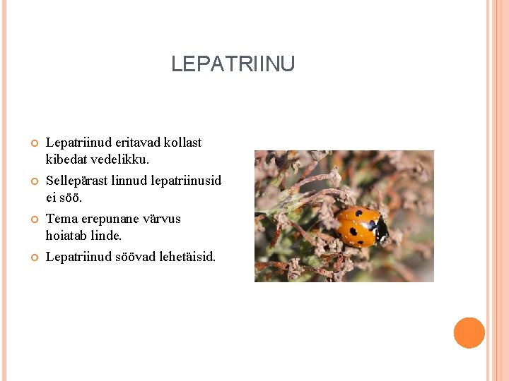 LEPATRIINU Lepatriinud eritavad kollast kibedat vedelikku. Sellepärast linnud lepatriinusid ei söö. Tema erepunane värvus LEPATRIINU Lepatriinud eritavad kollast kibedat vedelikku. Sellepärast linnud lepatriinusid ei söö. Tema erepunane värvus