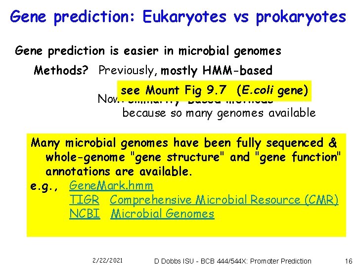 Gene prediction: Eukaryotes vs prokaryotes Gene prediction is easier in microbial genomes Methods? Previously,