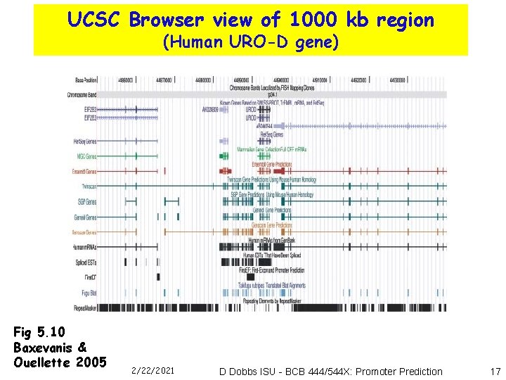 UCSC Browser view of 1000 kb region (Human URO-D gene) Fig 5. 10 Baxevanis