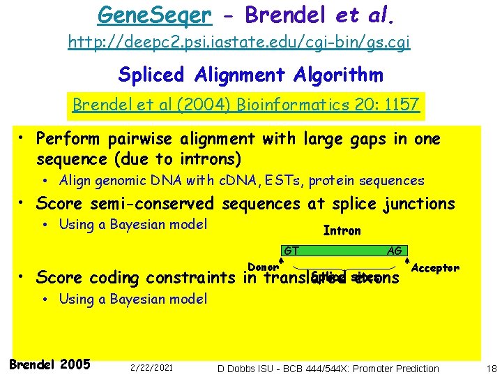 Gene. Seqer - Brendel et al. http: //deepc 2. psi. iastate. edu/cgi-bin/gs. cgi Spliced