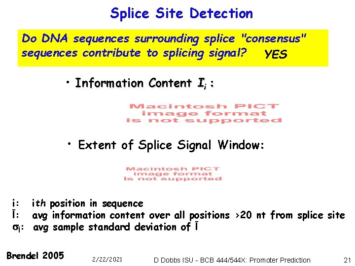 Splice Site Detection Do DNA sequences surrounding splice "consensus" sequences contribute to splicing signal?