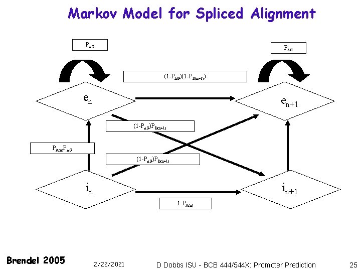 Markov Model for Spliced Alignment P G (1 -P G)(1 -PD(n+1)) en en+1 (1