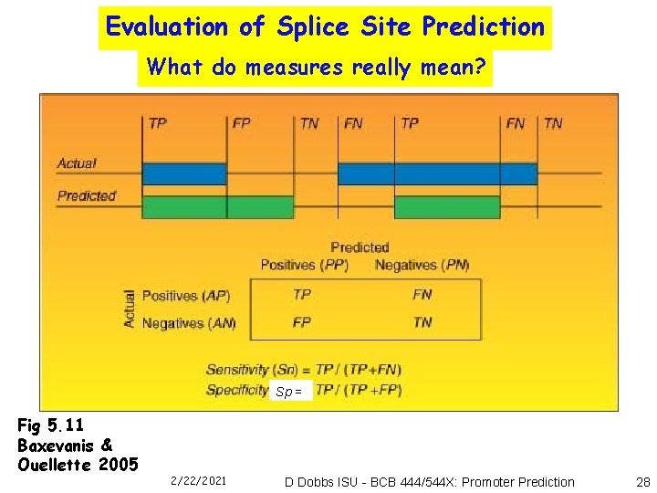 Evaluation of Splice Site Prediction What do measures really mean? Sp = Fig 5.