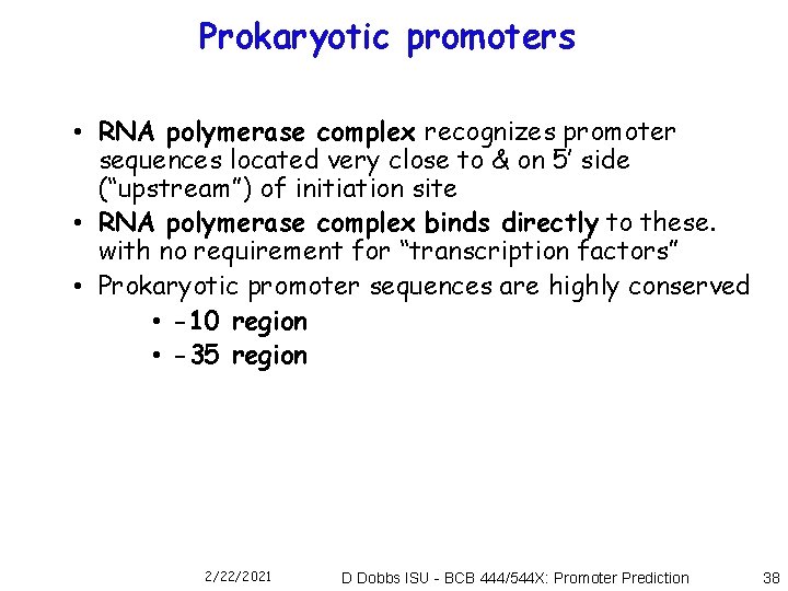 Prokaryotic promoters • RNA polymerase complex recognizes promoter sequences located very close to &