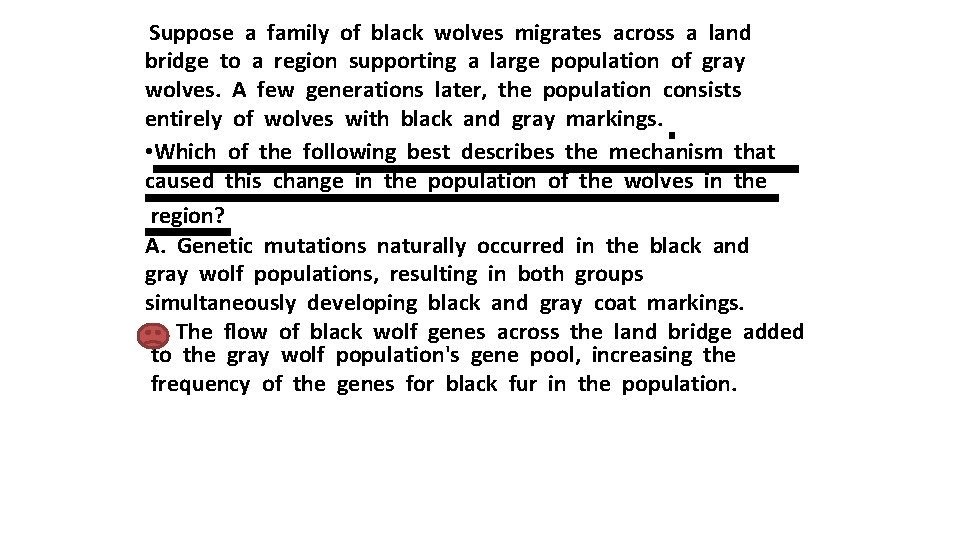  Suppose a family of black wolves migrates across a land bridge to a