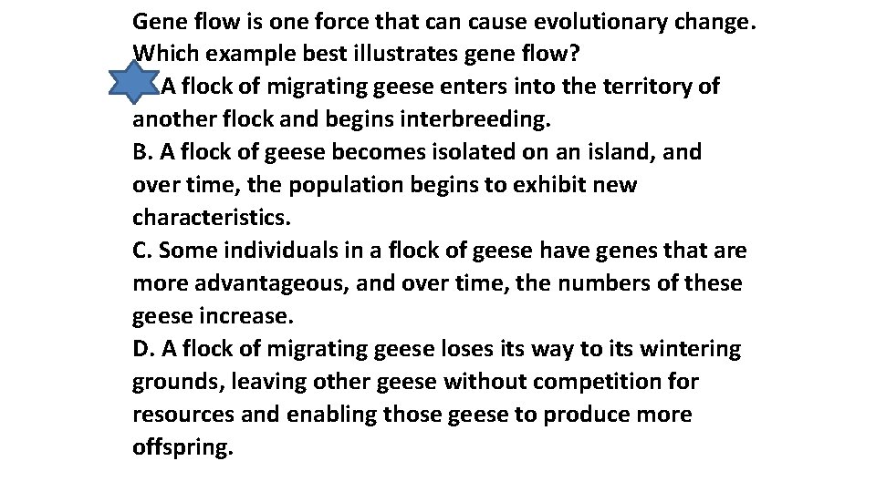 Gene flow is one force that can cause evolutionary change. Which example best illustrates