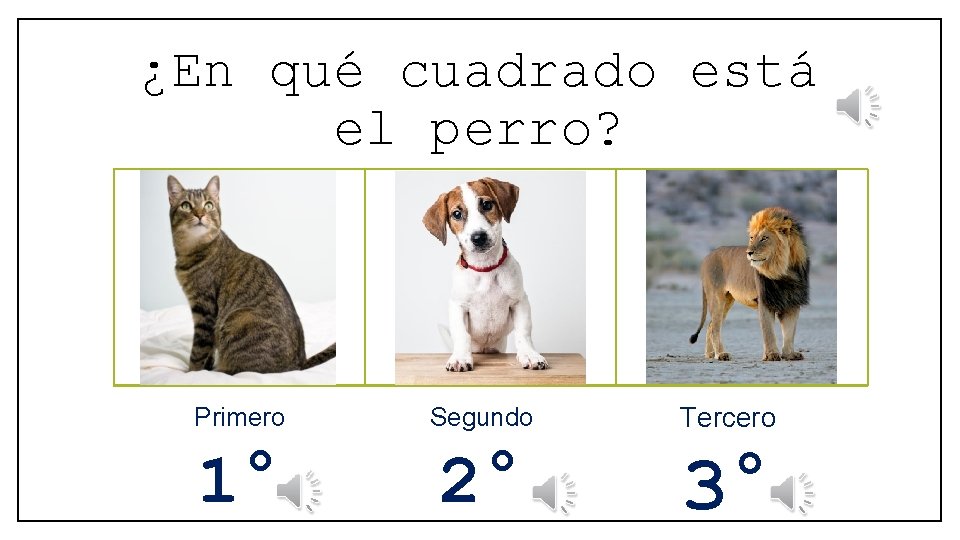 ¿En qué cuadrado está el perro? Primero Segundo Tercero 1° 2° 3° 