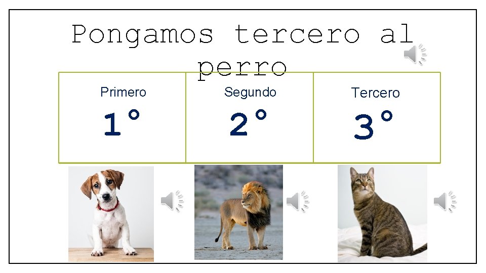 Pongamos tercero al perro Primero Segundo Tercero 1° 2° 3° 