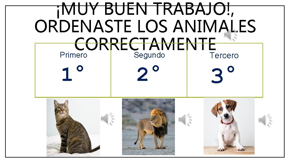 ¡MUY BUEN TRABAJO!, ORDENASTE LOS ANIMALES CORRECTAMENTE Segundo Primero Tercero 1° 2° 3° 