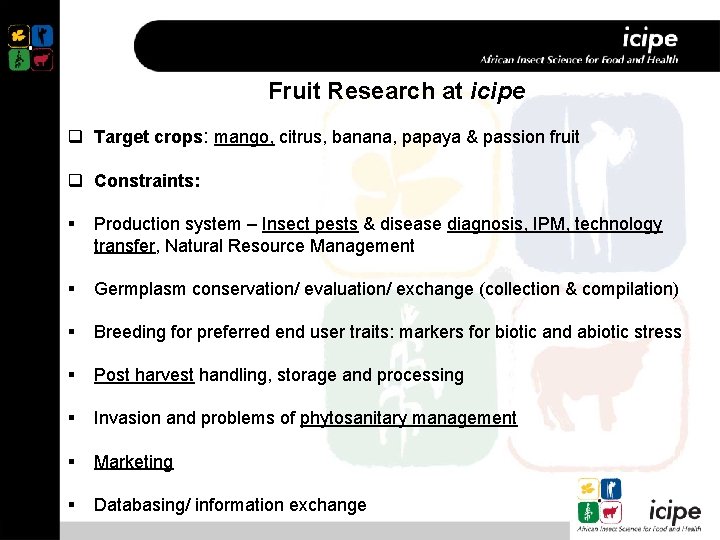 Fruit Research at icipe q Target crops: mango, citrus, banana, papaya & passion fruit