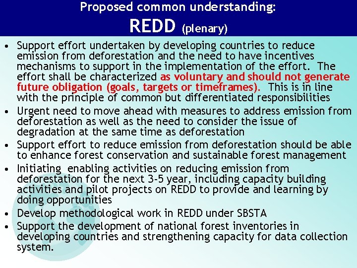 Proposed common understanding: REDD (plenary) • Support effort undertaken by developing countries to reduce