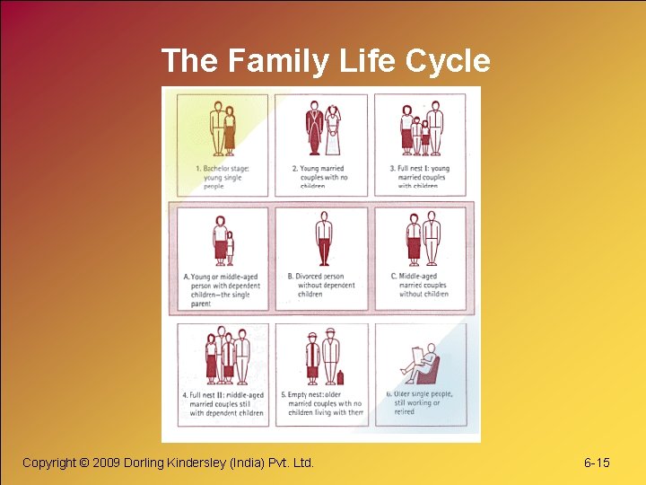 The Family Life Cycle Copyright © 2009 Dorling Kindersley (India) Pvt. Ltd. 6 -15