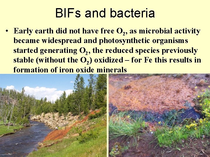 BIFs and bacteria • Early earth did not have free O 2, as microbial