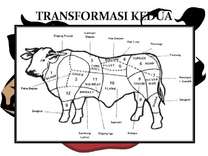 TRANSFORMASI KEDUA 