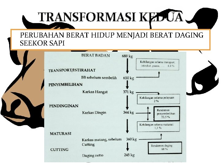 TRANSFORMASI KEDUA PERUBAHAN BERAT HIDUP MENJADI BERAT DAGING SEEKOR SAPI 