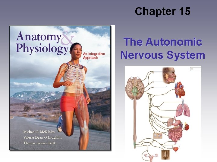 Chapter 15 The Autonomic Nervous System 