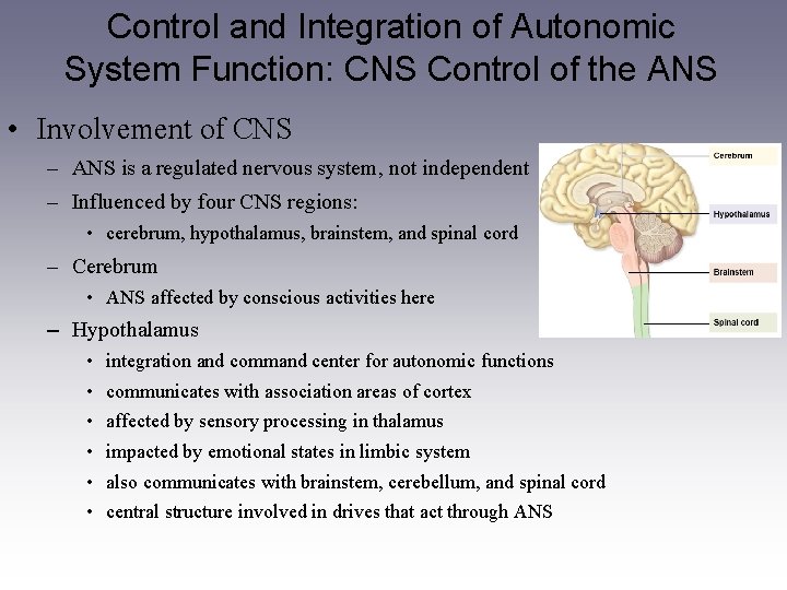 Control and Integration of Autonomic System Function: CNS Control of the ANS • Involvement