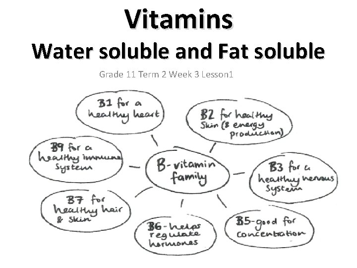 Vitamins Water soluble and Fat soluble Grade 11 Term 2 Week 3 Lesson 1