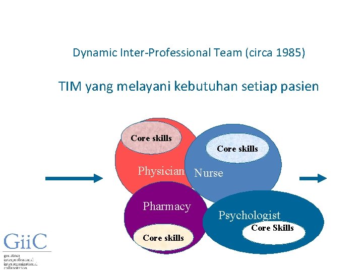 Dynamic Inter-Professional Team (circa 1985) TIM yang melayani kebutuhan setiap pasien Core skills Physician