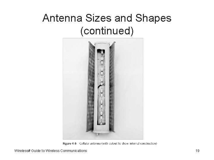 Antenna Sizes and Shapes (continued) Wireless# Guide to Wireless Communications 19 