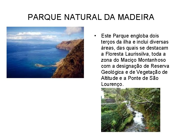 PARQUE NATURAL DA MADEIRA • Este Parque engloba dois terços da ilha e inclui
