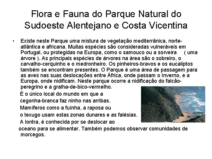Flora e Fauna do Parque Natural do Sudoeste Alentejano e Costa Vicentina • Existe
