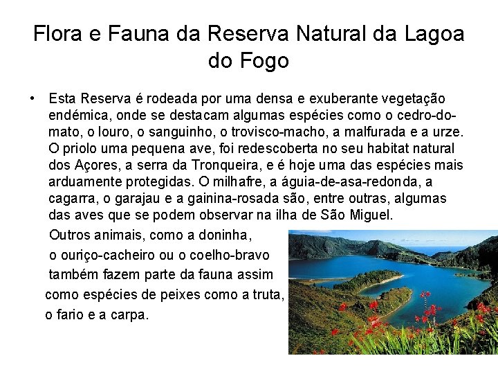 Flora e Fauna da Reserva Natural da Lagoa do Fogo • Esta Reserva é