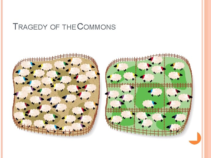 TRAGEDY OF THE COMMONS 