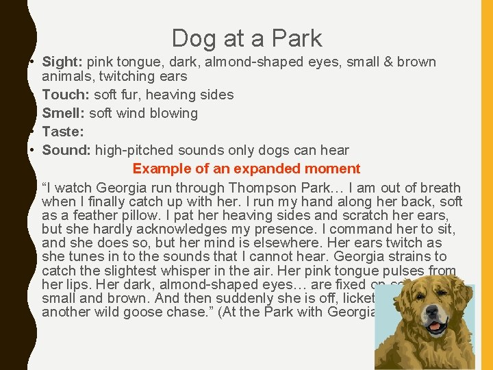 Dog at a Park • Sight: pink tongue, dark, almond-shaped eyes, small & brown Dog at a Park • Sight: pink tongue, dark, almond-shaped eyes, small & brown