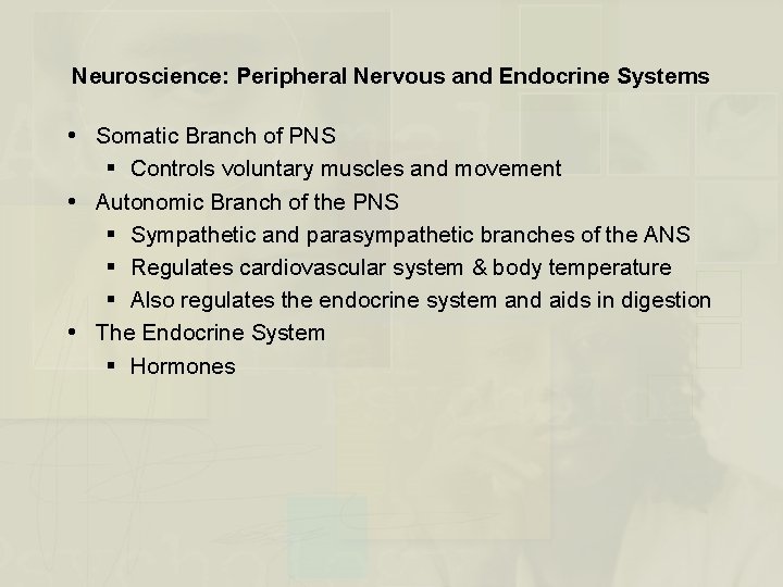 Neuroscience: Peripheral Nervous and Endocrine Systems Somatic Branch of PNS § Controls voluntary muscles