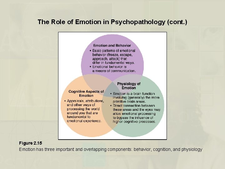 The Role of Emotion in Psychopathology (cont. ) Figure 2. 15 Emotion has three