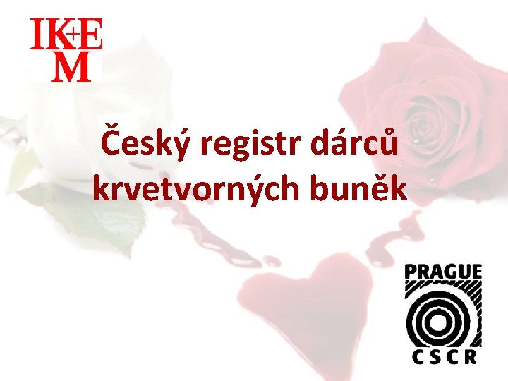 Český registr dárců krvetvorných buněk 