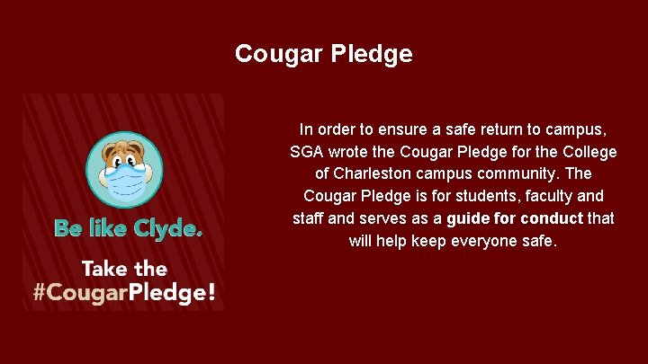 Cougar Pledge In order to ensure a safe return to campus, SGA wrote the