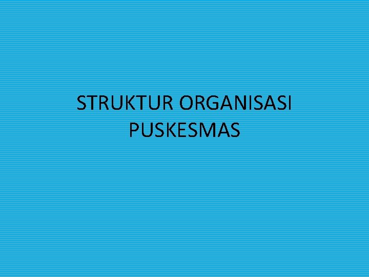 STRUKTUR ORGANISASI PUSKESMAS 