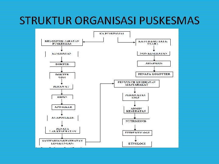 STRUKTUR ORGANISASI PUSKESMAS STRUKTUR ORGANISASI PUSKESMAS