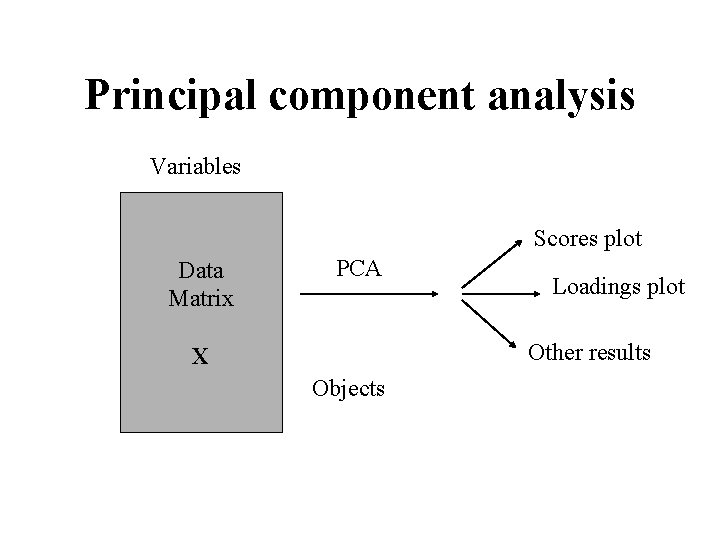 Principal component analysis Variables Scores plot Data Matrix PCA Loadings plot Other results X
