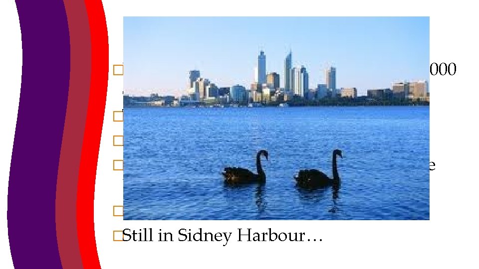 Yes, but… �We can’t generalise from 10 or 1000 or even 40, 000 cases