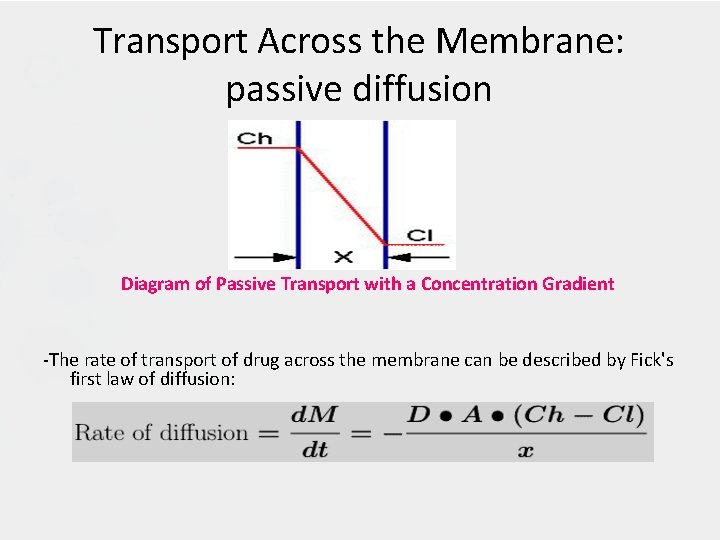 Transport Across the Membrane: passive diffusion Diagram of Passive Transport with a Concentration Gradient