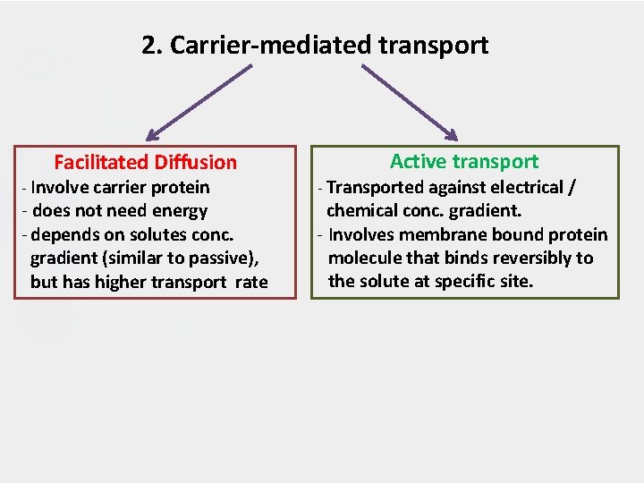 2. Carrier-mediated transport Facilitated Diffusion - Involve carrier protein - does not need energy