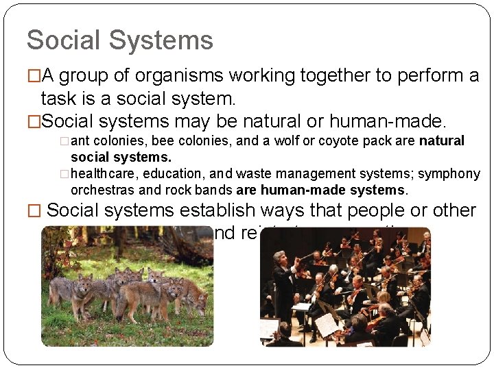 Social Systems �A group of organisms working together to perform a task is a