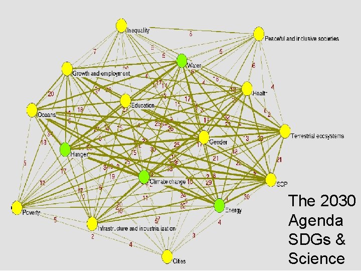 The 2030 Agenda SDGs & Science 