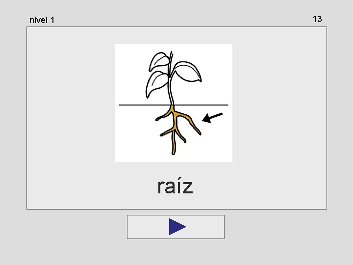 13 nivel 1 raíz 13 nivel 1 raíz