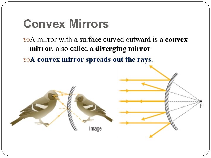 Convex Mirrors A mirror with a surface curved outward is a convex mirror, also
